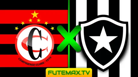 Assistir Campinense x Botafogo ao vivo 13/02/2019 grátis HD