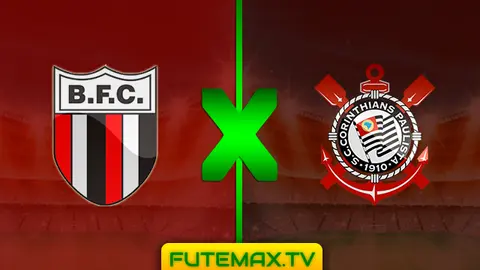 Assistir Botafogo-SP x Corinthians ao vivo 24/02/2019 HD