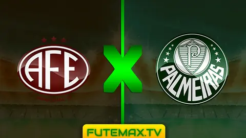 Assistir Ferroviária x Palmeiras ao vivo em HD 17/02/2019 grátis