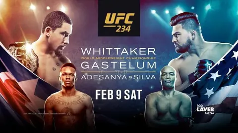 Assistir Whittaker x Gastelum ao vivo pelo UFC 234