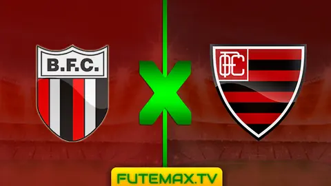 Assistir Botafogo-SP x Oeste ao vivo 23/03/2019 HD