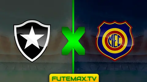 Assistir Botafogo x Madureira ao vivo 11/03/2019