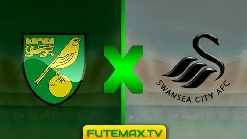 Assistir Norwich City x Swansea City ao vivo 08/03/2019