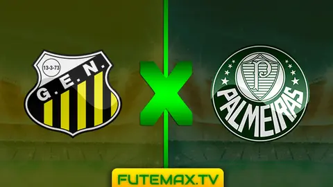 Assistir Novorizontino x Palmeiras ao vivo HD 23/03/2019