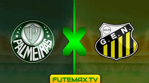 Assistir Palmeiras x Novorizontino ao vivo online 26/03/2019