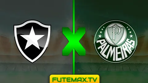 Assistir Botafogo x Palmeiras ao vivo online HD 25/05/2019