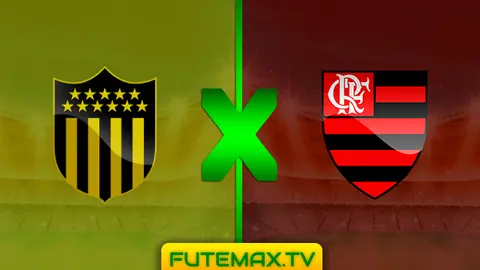 Assistir Peñarol x Flamengo ao vivo HD  08/05/2019