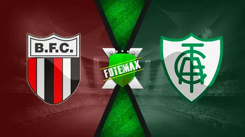 Assistir Botafogo-SP x América-MG ao vivo online HD 07/09/2019