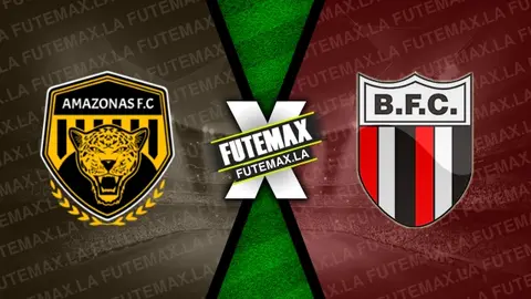 Assistir Amazonas x Botafogo-SP ao vivo HD 29/10/2024