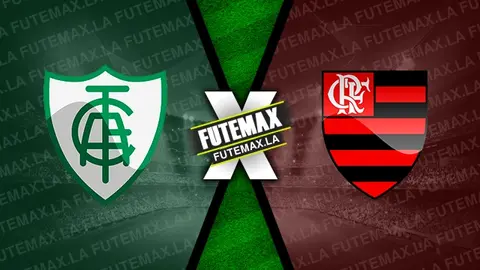 Assistir América-MG x Flamengo ao vivo 26/11/2023 online