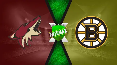 Assistir Arizona Coyotes x Boston Bruins ao vivo HD 08/02/2020 grátis
