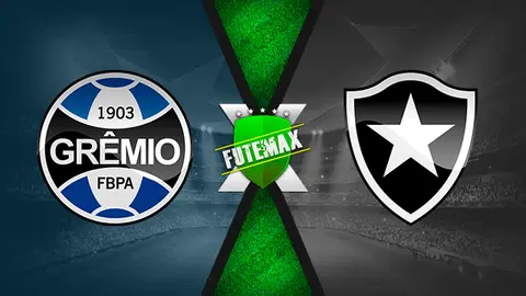 Assistir Grêmio x Botafogo ao vivo HD 27/10/2019