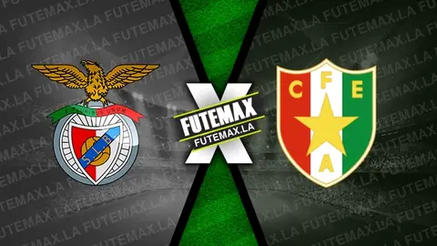 Assistir Benfica x Estrela Amadora ao vivo 24/08/2024 online