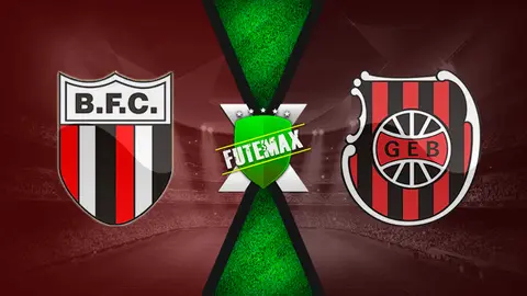 Assistir Botafogo-SP x Brasil de Pelotas ao vivo HD 13/07/2019