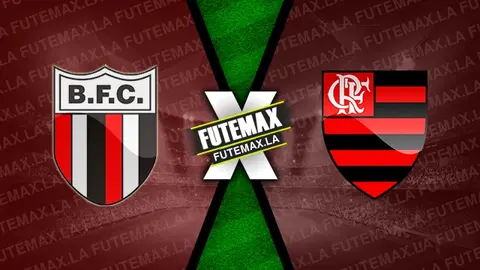 Assistir Botafogo-SP x Flamengo ao vivo HD 17/01/2024