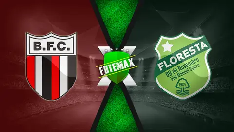 Assistir Botafogo-SP x Floresta ao vivo HD 02/05/2022 grátis