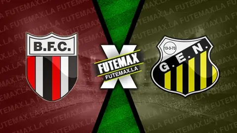 Assistir Botafogo-SP x Novorizontino ao vivo online HD 21/10/2023