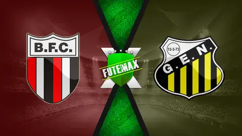 Assistir Botafogo-SP x Novorizontino ao vivo HD 13/03/2022 grátis