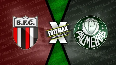 Assistir Botafogo x Palmeiras ao vivo HD 19/01/2023 grátis