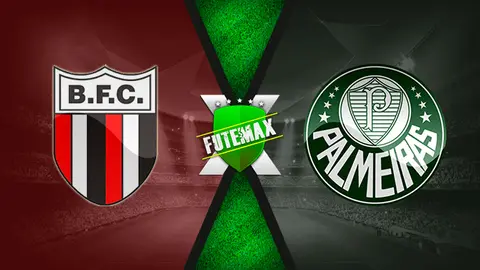 Assistir Botafogo-SP x Palmeiras ao vivo HD 18/04/2021