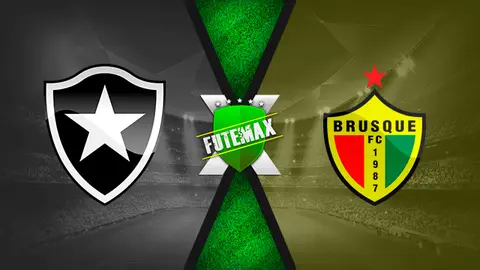 Assistir Botafogo x Brusque ao vivo HD 20/10/2021