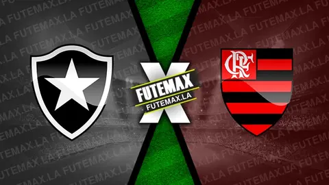 Assistir Botafogo x Flamengo ao vivo online HD 28/08/2022