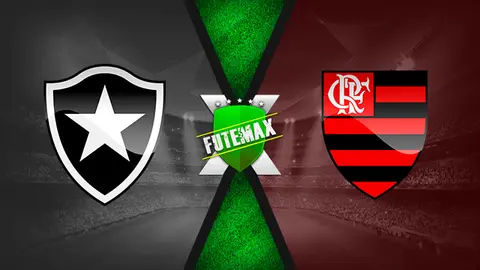 Assistir Botafogo x Flamengo ao vivo 05/12/2020 grátis