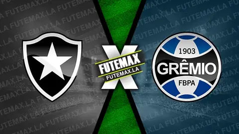 Assistir Botafogo x Grêmio ao vivo 09/11/2023 grátis