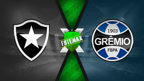 Assistir Botafogo x Grêmio ao vivo online HD 12/06/2019