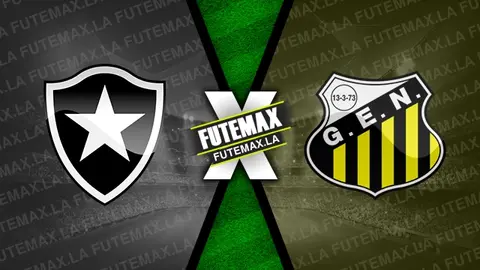 Assistir Botafogo x Novorizontino ao vivo online HD 12/01/2024