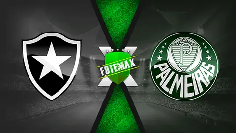 Assistir Botafogo x Palmeiras ao vivo online HD 07/10/2020