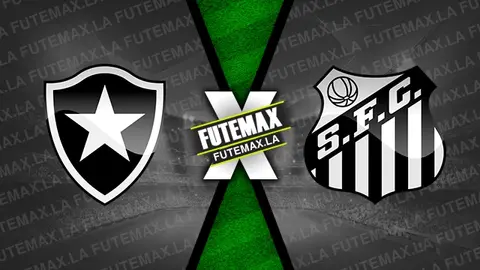 Assistir Botafogo x Santos ao vivo 20/01/2024 online