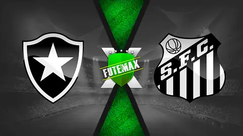 Assistir Botafogo x Santos ao vivo online HD 21/07/2019