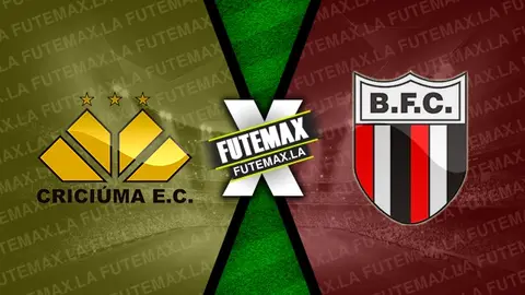 Assistir Criciúma x Botafogo-SP ao vivo 18/11/2023 grátis