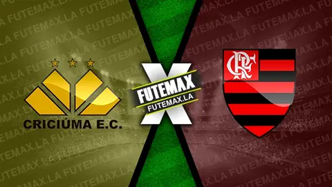 Assistir Criciúma x Flamengo ao vivo HD 04/12/2024