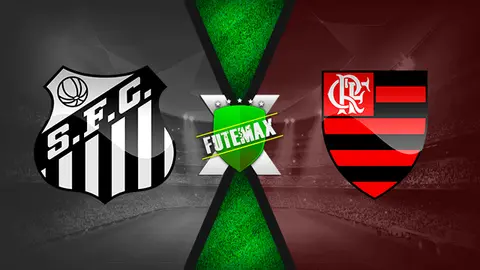 Assistir Santos x Flamengo ao vivo online 08/12/2019