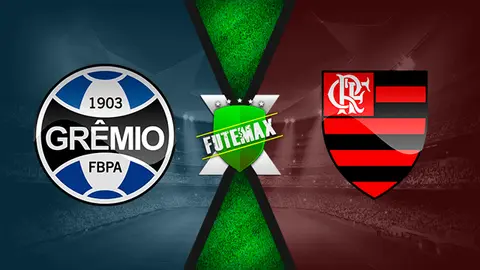 Assistir Grêmio x Flamengo ao vivo online HD 17/11/2019