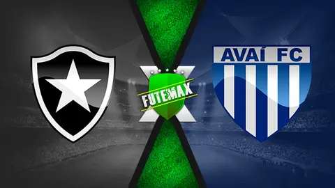 Assistir Botafogo x Avaí ao vivo online 11/11/2019