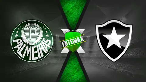 Assistir Palmeiras x Botafogo ao vivo online HD 12/10/2019