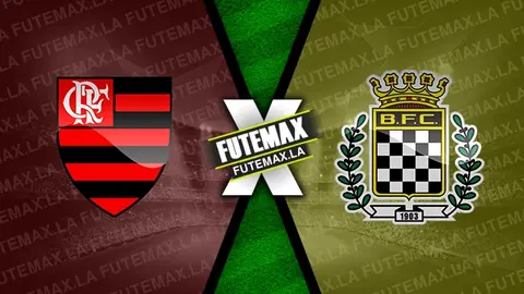 Assistir Flamengo x Boavista ao vivo HD 20/02/2024