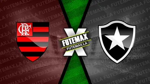Assistir Flamengo x Botafogo ao vivo HD 07/02/2024 grátis