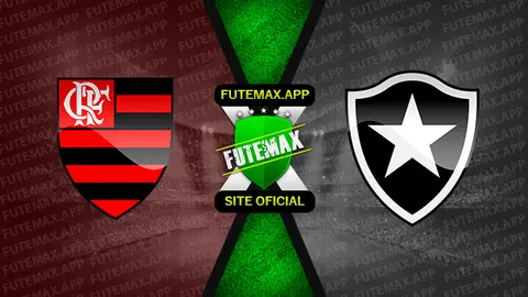 Assistir Flamengo x Botafogo ao vivo online HD 23/08/2020