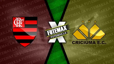 Assistir Flamengo x Criciúma ao vivo HD 20/07/2024