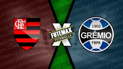 Assistir Flamengo x Grêmio ao vivo 13/06/2024 grátis