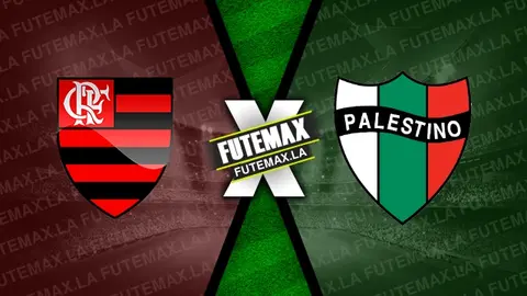 Assistir Flamengo x Palestino ao vivo 10/04/2024 grátis