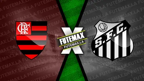 Assistir Flamengo x Santos ao vivo online 29/04/2024