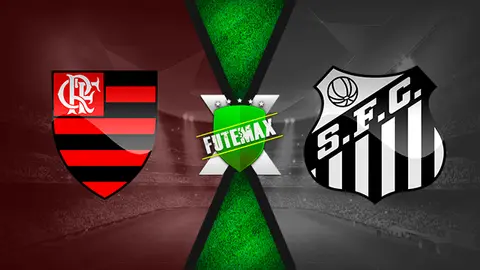 Assistir Flamengo x Santos ao vivo HD 13/12/2020 grátis