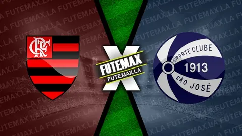 Assistir Flamengo x São José-RS ao vivo online HD 15/01/2024