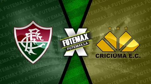 Assistir Fluminense x Criciúma ao vivo HD 26/11/2024 grátis