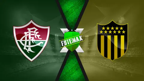 Assistir Fluminense x Peñarol ao vivo online 30/07/2019